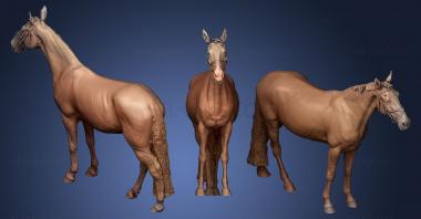 3D model Horse109 (STL)